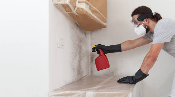 Professional Bathroom Mold Removal technician working in Malverne, NY